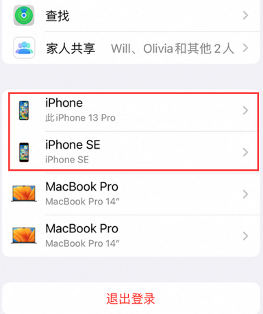 红桥苹红桥果维修网点分享iPhone如何查询序列号