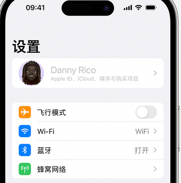 红桥appleID维修服务iPhone设置中Apple ID显示为灰色无法使用 