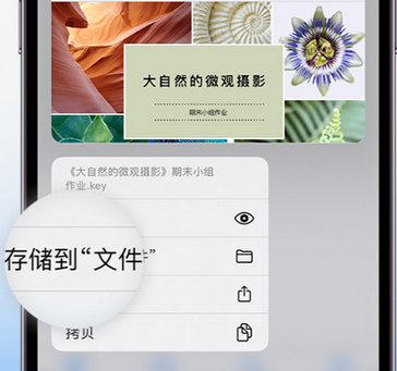 红桥apple维修中心分享iPhone文件应用中存储和找到下载文件