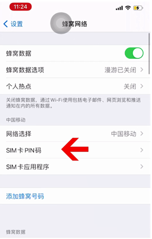 红桥苹果14维修网分享如何给iPhone14的SIM卡设置密码 