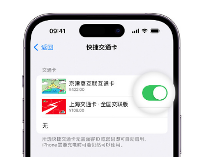 红桥apple维修点分享iPhone上更换Apple Pay快捷交通卡手绘卡面 