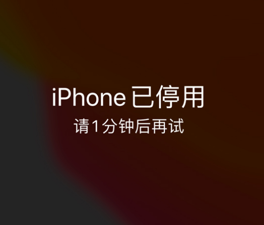 红桥苹果手机维修分享:iPhone 显示“不可用”或“已停用”怎么办？还能保留数据吗？ 