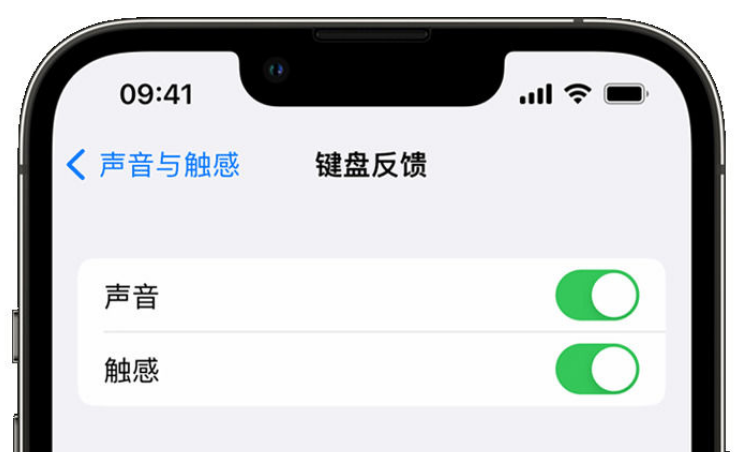 红桥苹果手机维修分享iPhone 14触感键盘使用方法 