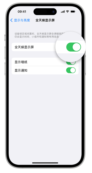 红桥苹果14维修店分享如何自定义 iPhone 14 Pro 常亮显示屏 