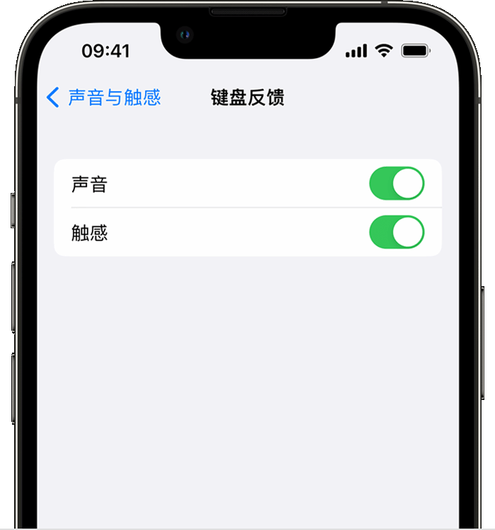 红桥苹果14维修店分享如何在 iPhone 14 机型中使用触感键盘 