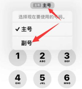 红桥苹果14维修店分享iPhone 14 Pro Max使用副卡打电话的方法 