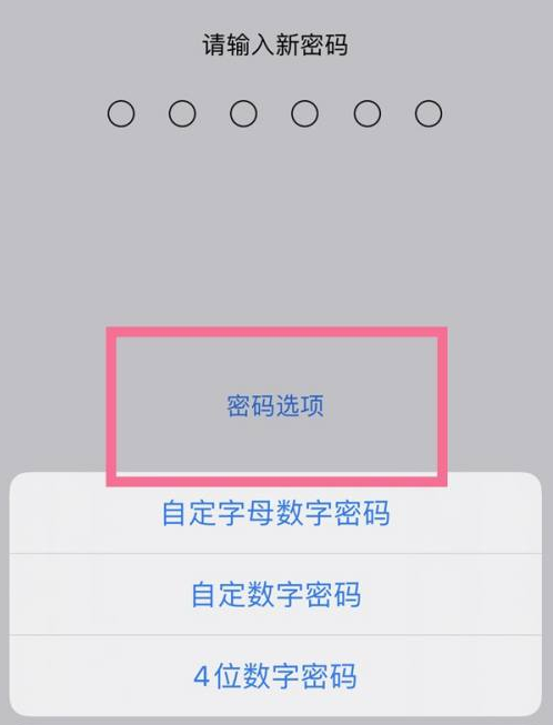 红桥苹果14维修分享iPhone 14plus设置密码的方法 