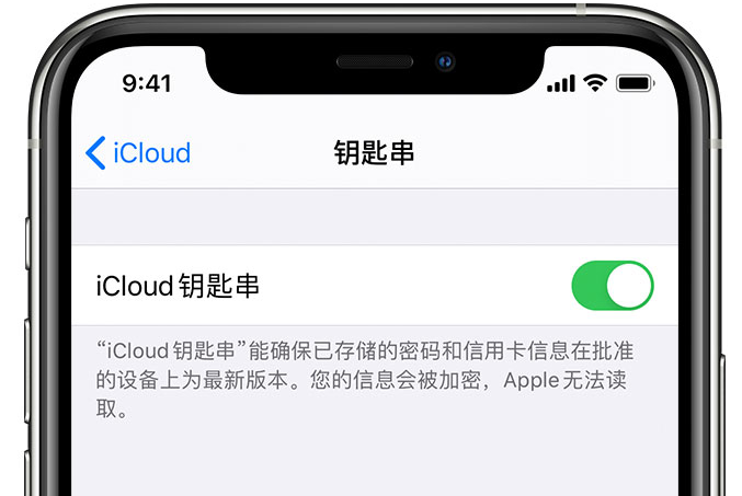 红桥苹果手机维修分享在 iPhone 上开启 iCloud 钥匙串之后会储存哪些信息 