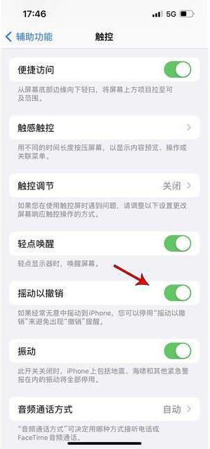 红桥苹果手机维修分享iPhone手机如何设置摇一摇删除文字 