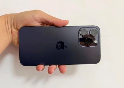 红桥苹果维修点分享iPhone 14 Pro Max黑屏少见故障盘点 